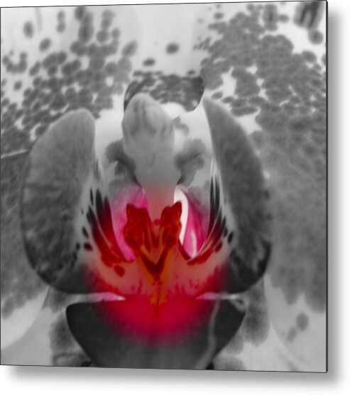 Black And White Flower With A Touch Of Color Metal Print featuring the photograph Just A Touch #1 by Kim Galluzzo
