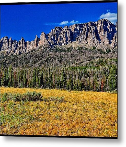 Mountains Metal Print featuring the photograph The Destructiveness Of The Pine Bark #1 by Chris Bechard