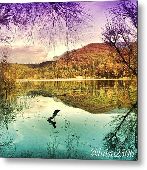 Shotaward Metal Print featuring the photograph Water Reflection #1 by Luisa Azzolini