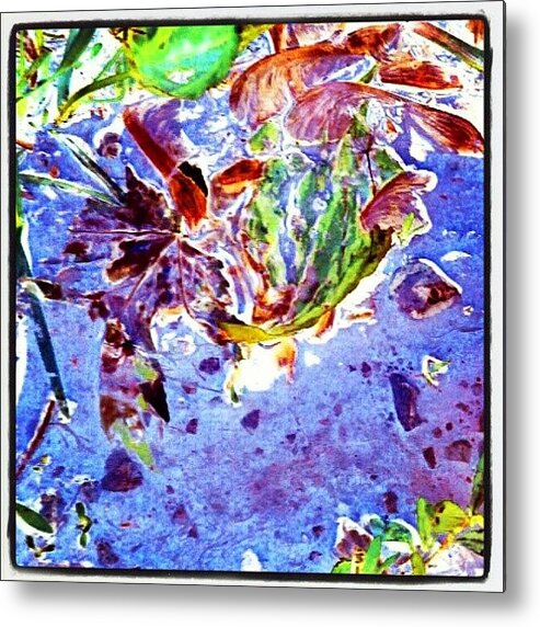 Andrography Metal Print featuring the photograph Weeds In A Puddle #android #andrography #1 by Marianne Dow
