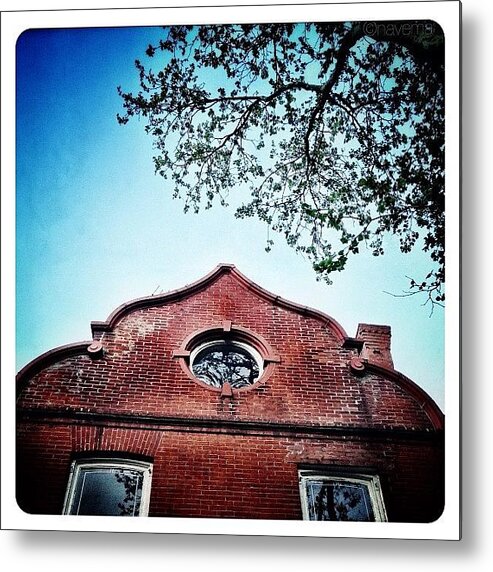 Teamrebel Metal Print featuring the photograph Looking Up #2 by Natasha Marco