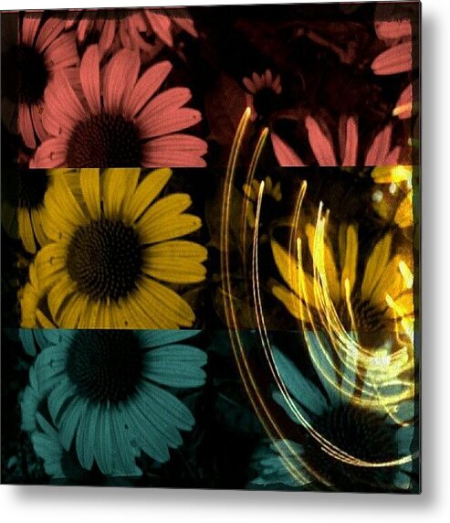 Instagram Metal Print featuring the photograph Flowers For My Lady Series #flower #28 by Luke R