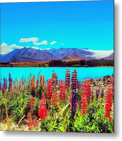 Icatch Metal Print featuring the photograph Instagram Photo #511347012402 by Tommy Tjahjono