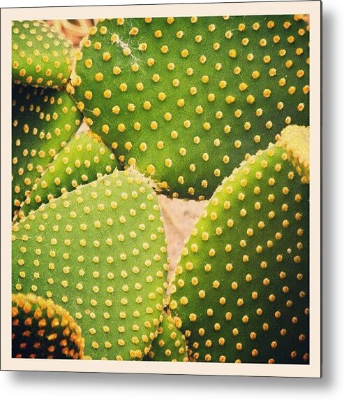 Dots Metal Print featuring the photograph A #cactus... #abstract #latergram by Linandara Linandara