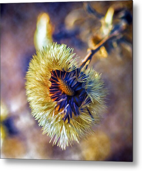 Nature Metal Print featuring the photograph A Look Inside by Bill and Linda Tiepelman