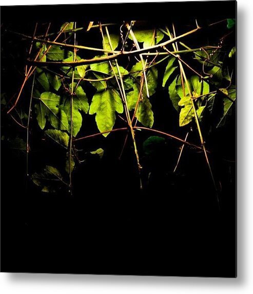 Instanature Metal Print featuring the photograph A Tale From The #green In #night Of A by The Art.box