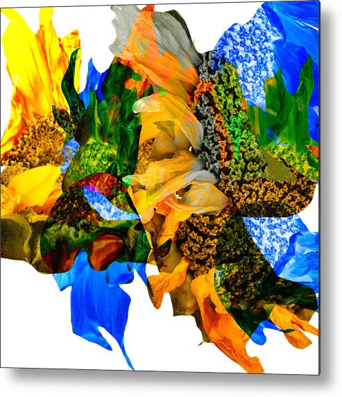 Sunflowers Metal Print featuring the photograph Abstract Sunflowers No 428 by James Bethanis