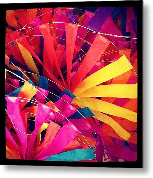  Metal Print featuring the photograph All The Colours Of The Wind by Stuti S
