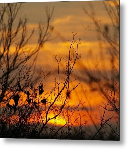  Metal Print featuring the photograph Another Texas Sunset by James Granberry