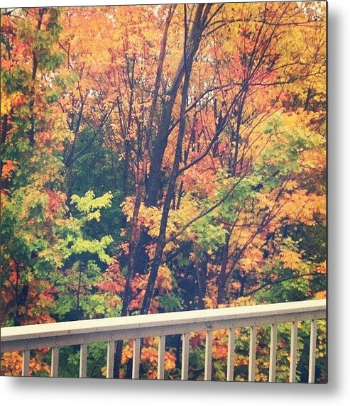 October Metal Print featuring the photograph Autumn by Cassie OToole