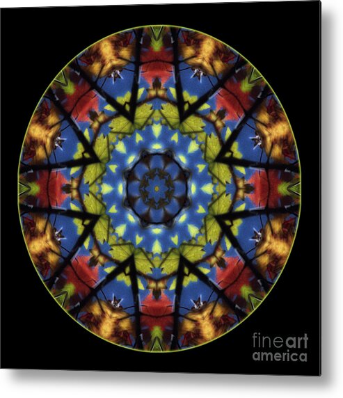 Kaleidoscope Metal Print featuring the photograph Autumn Leaves Reflection Mandala by Janeen Wassink Searles
