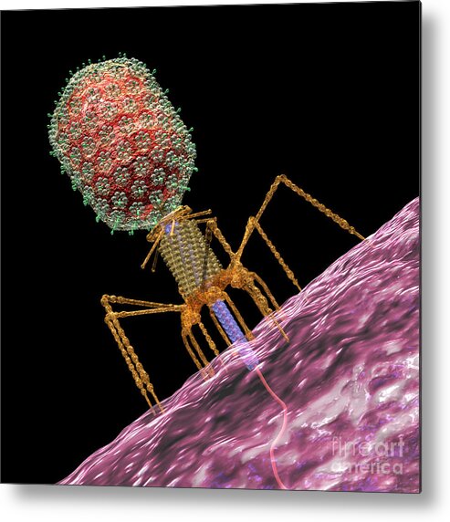 Bacteria Metal Print featuring the digital art Bacteriophage T4 Injecting by Russell Kightley