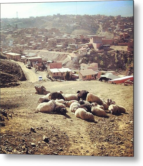  Metal Print featuring the photograph Barrio Bartolina Sisa Donde Vivi En by Marie-Claude Charron