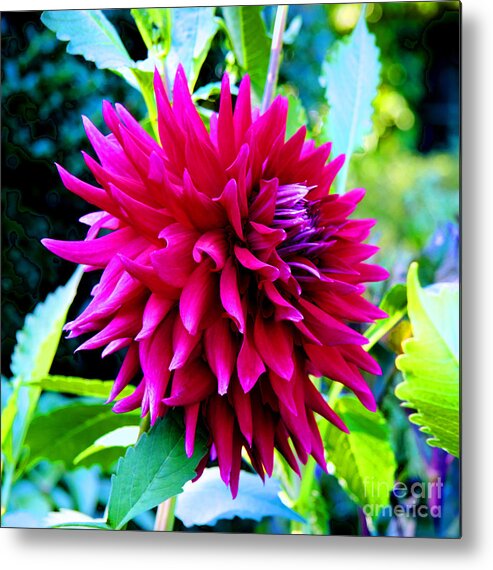 Flower Metal Print featuring the photograph Red Smile by Tap On Photo