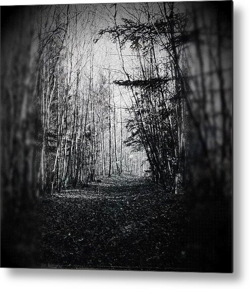 Outdoor Metal Print featuring the photograph #blairwitch #forrest by Stoeps Meyer