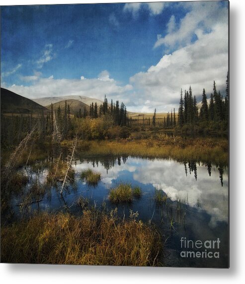 Dempster Metal Print featuring the photograph Blissful Lone Land by Priska Wettstein
