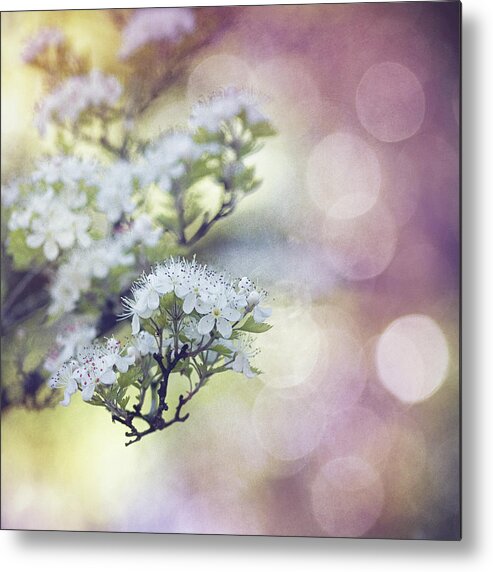 Texture Spring Blossom Bokeh Bloom White Green Blue Nature Metal Print featuring the mixed media Blossom by Joel Olives