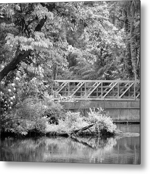 Nature Metal Print featuring the photograph Bridge To No Where by Donna Proctor
