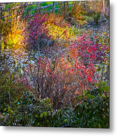 Landscape Metal Print featuring the photograph Bright Autumn Light by Byron Varvarigos