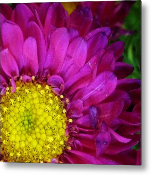 Yellow Metal Print featuring the photograph 'Bright Beauty' by Tanya Jacobson-Smith