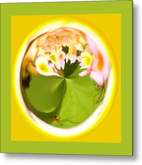 Orb Metal Print featuring the photograph Buggy Flower Orb by Bill Barber