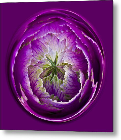 Cabbage Metal Print featuring the photograph Cabbage Orb by Bill Barber
