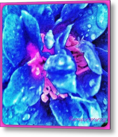 Iphoneonly Metal Print featuring the photograph Camellia With Raindrops In Blue by Anna Porter