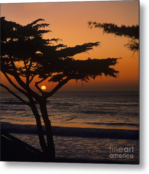 Craig Lovell Metal Print featuring the photograph Carmel-t3-2 by Craig Lovell