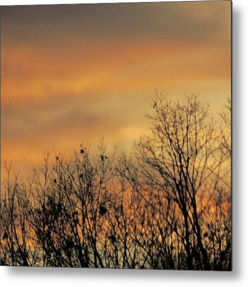 Dusk Metal Print featuring the photograph Colorful Sundown by Kelli Stowe