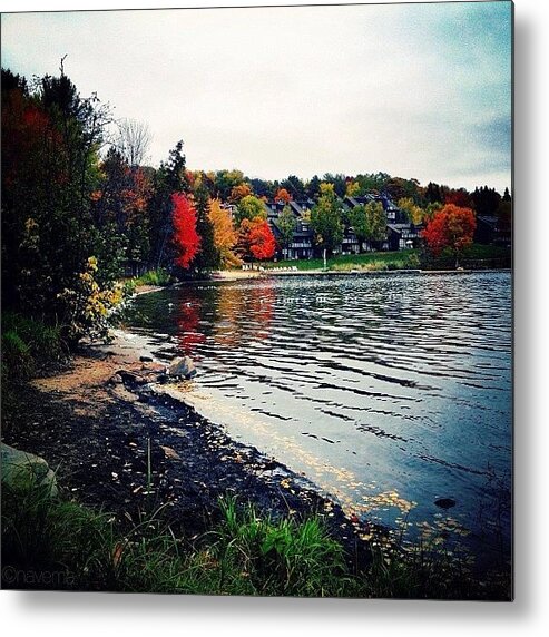 Teamrebel Metal Print featuring the photograph Colors Along The Shore by Natasha Marco