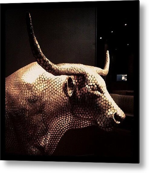 Mobilephotography Metal Print featuring the photograph Copper Pennied Longhorn by Natasha Marco