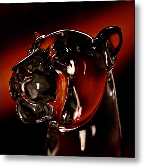 Washington State University Metal Print featuring the photograph Crystal Cougar Head II by David Patterson