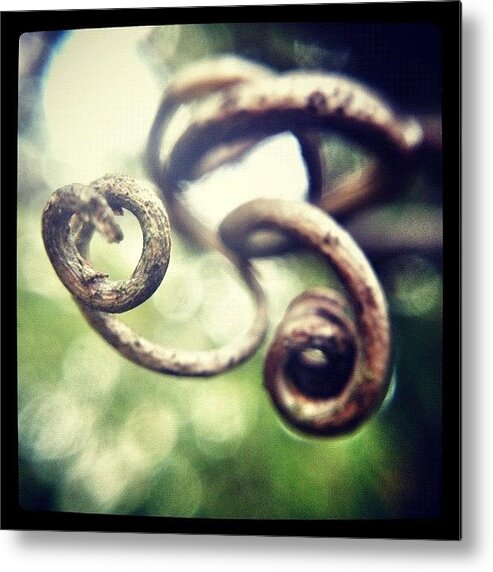 Rcspics Metal Print featuring the photograph Dead Spirals by Dave Edens