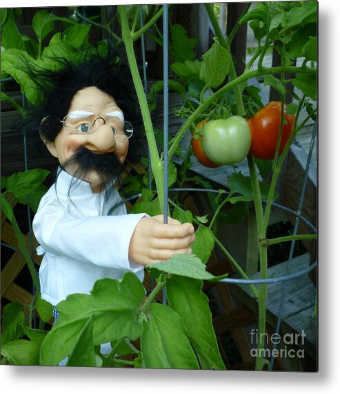 Dorf Doll Metal Print featuring the photograph Dorf Chef Doll with Tomatoes by Renee Trenholm