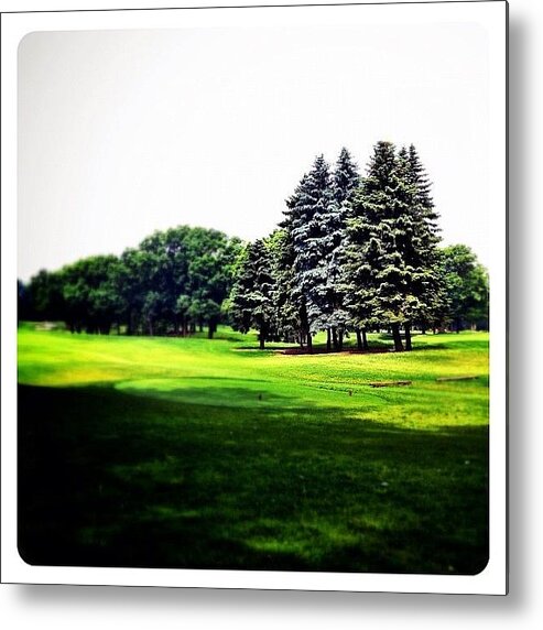 Photooftheday Metal Print featuring the photograph Etobicoke by Natasha Marco