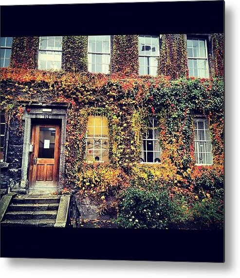 Autumn Metal Print featuring the photograph Even On A Dull Day #autumn Colours by David Lynch