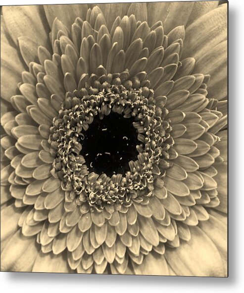 Flora Metal Print featuring the photograph Eye of the Flower by Bruce Bley