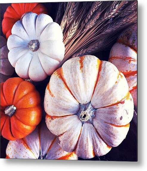  Metal Print featuring the photograph Fall Still Life by Lynne Daley