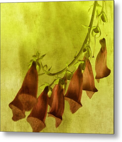 Tangerine Tango Metal Print featuring the photograph Fancy Foxglove by Bonnie Bruno