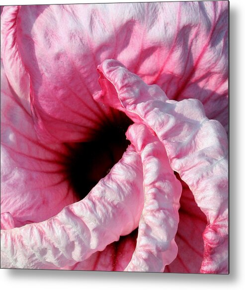 Hibiscus Metal Print featuring the photograph Fancy Hibiscus by Karen Harrison Brown