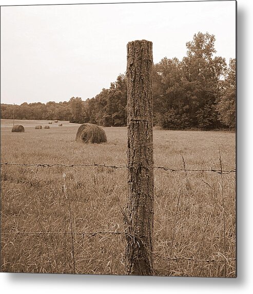 Barbed Wire Metal Print featuring the photograph Fence and Field by Life Makes Art