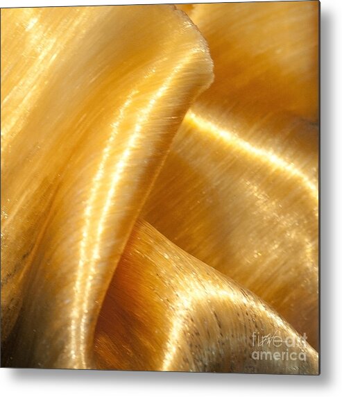 Art Glass Metal Print featuring the photograph Folding Gold by Artist and Photographer Laura Wrede