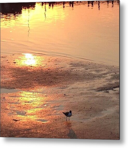 Somers Point Nj Metal Print featuring the photograph Good Morning - Early AM Sunrise by Penni D'Aulerio