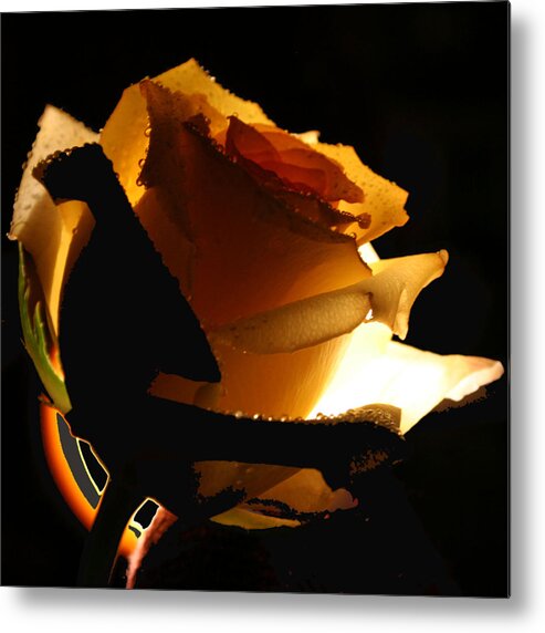 Rose Metal Print featuring the photograph Hidden Beauty by Patricia Haynes