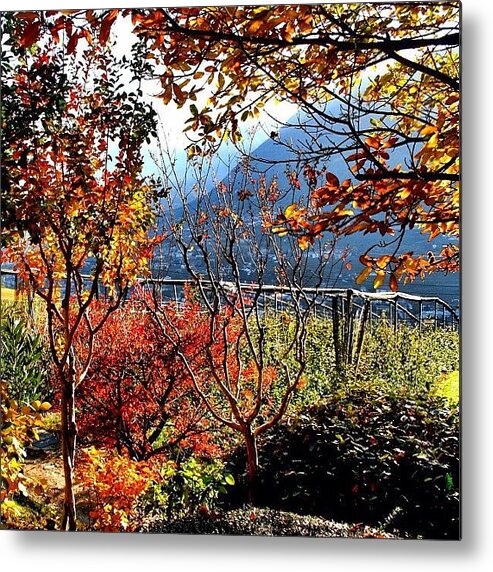 Beautiful Metal Print featuring the photograph I Colori Dell'autunno - The Colors Of by Luisa Azzolini