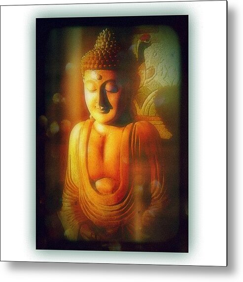 Webstagram Metal Print featuring the photograph Inner Light Shines Through by Paul Cutright
