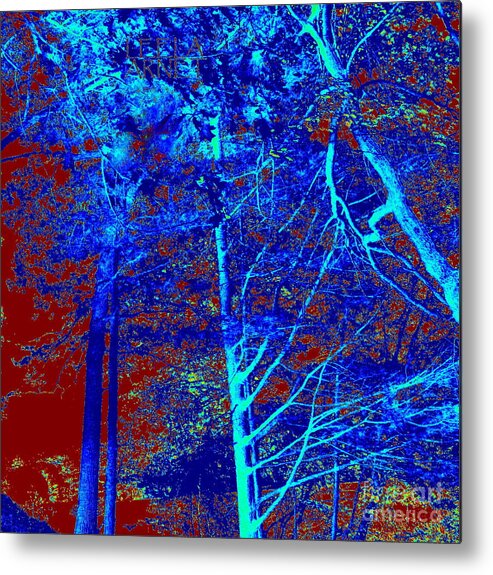 Digital Art Metal Print featuring the photograph Into the trees by Leela Arnet