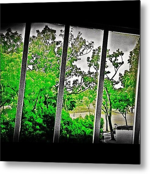 All_shots Metal Print featuring the photograph Just Green by Ellie Doong