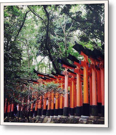 Torii Metal Print featuring the photograph Kyoto torii by Marc Gascoigne