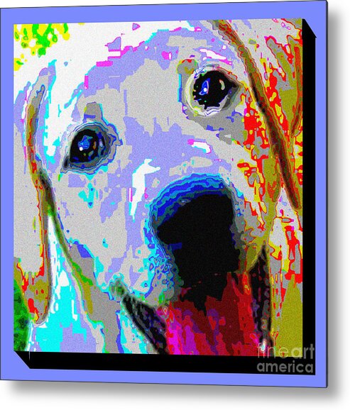 Yellow Lab Metal Print featuring the photograph Lab Love by Alene Sirott-Cope